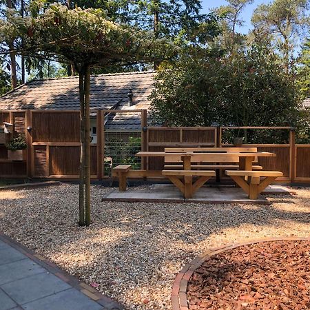 Veluwe Vakantiehuis - Bosuil Lodge Lunteren Buitenkant foto