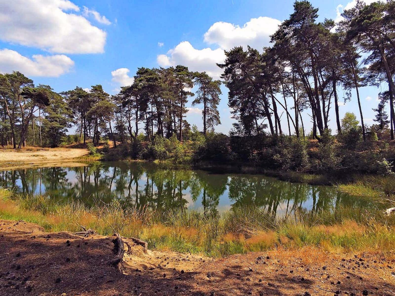 Veluwe Vakantiehuis - Bosuil Lodge Lunteren Buitenkant foto